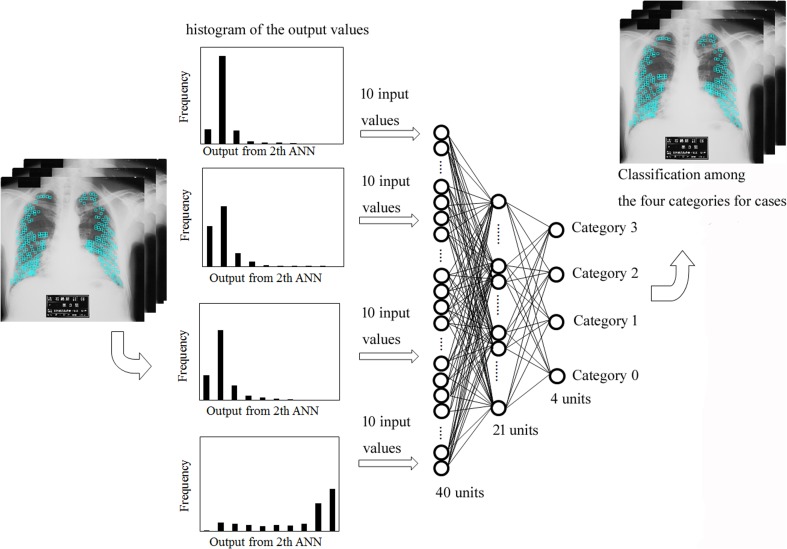 Fig. 12