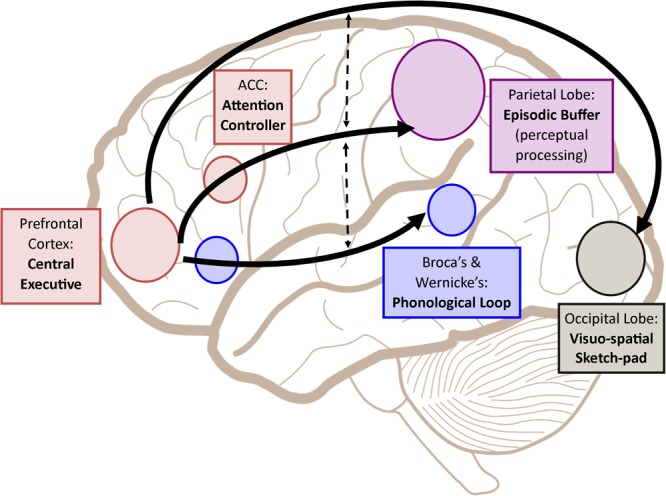 FIGURE 1