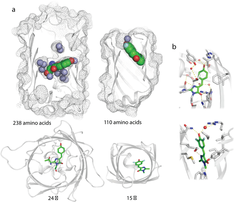 Figure 6: