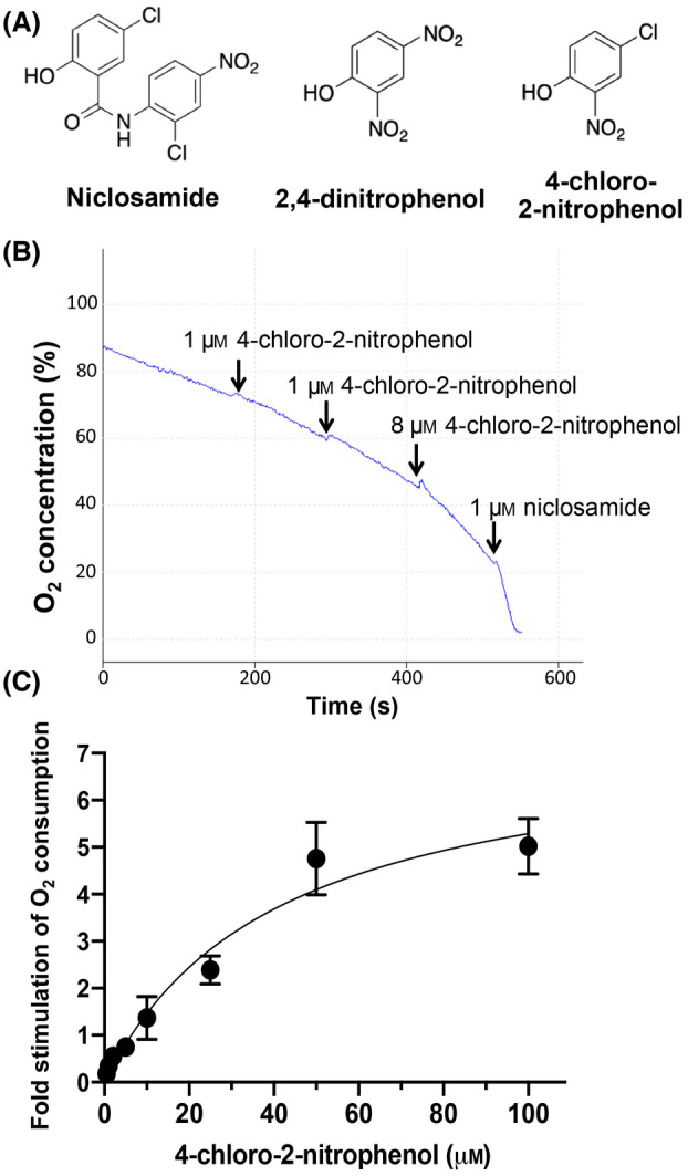 Fig. 8