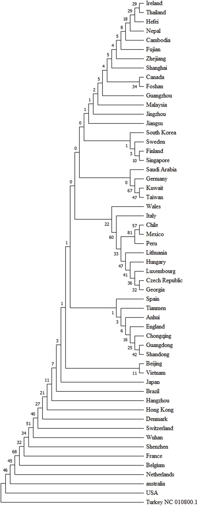 Fig. 7