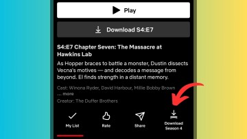 Netflix Season Download Button