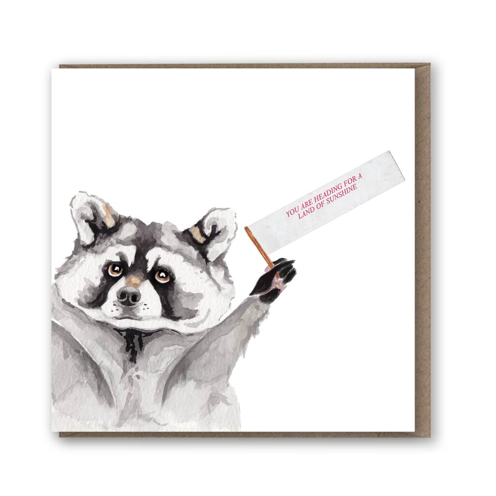 Good Luck Raccoon Card By lil wabbit | notonthehighstreet.com