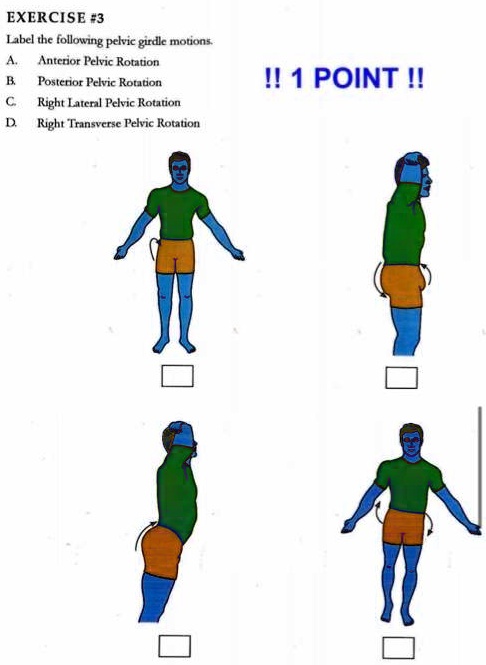 SOLVED: EXERCISE #3: Label the following pelvic girdle motions: A ...