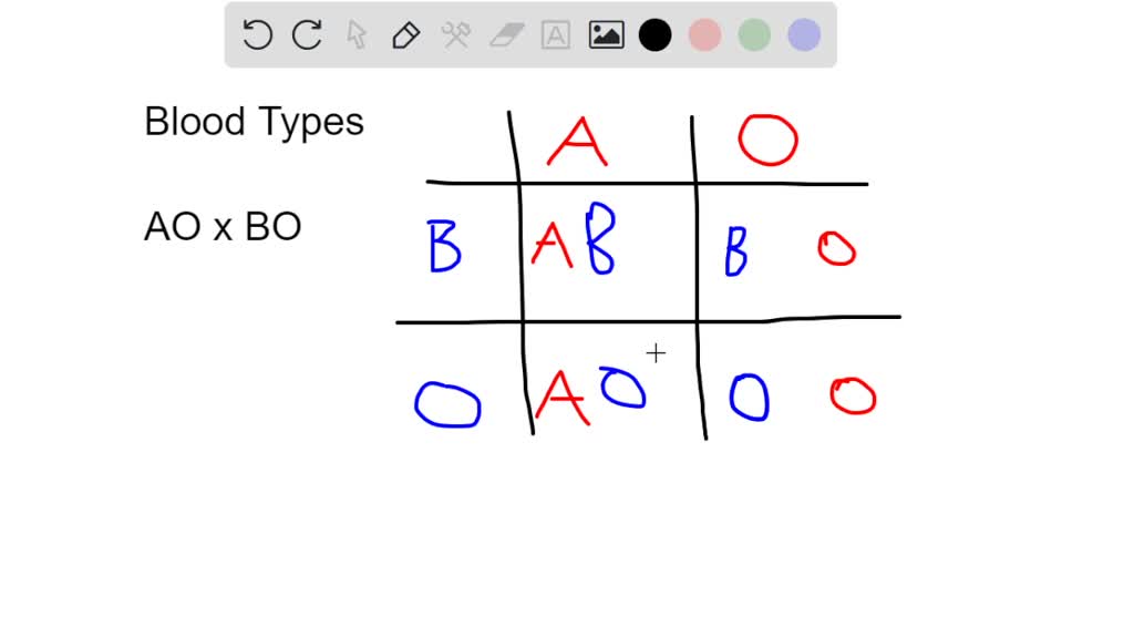 SOLVED: A mother has blood type A and genotype AO. A father has blood ...