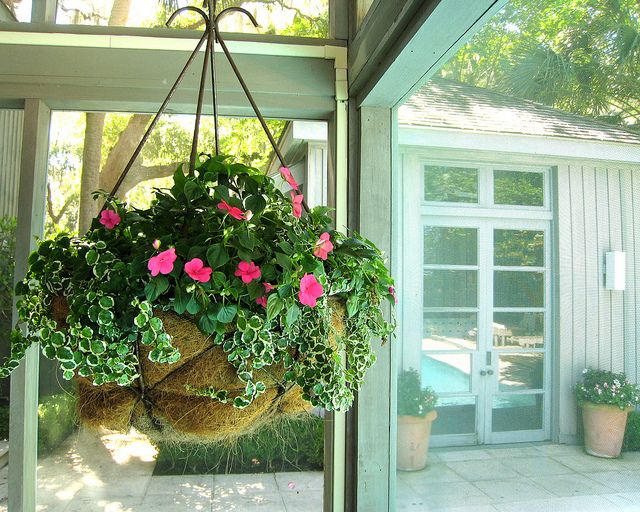 Enclosed Patio Planter Boxes