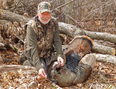 Strutting Hens: A Rare Sight in the Turkey Woods | OutdoorHub