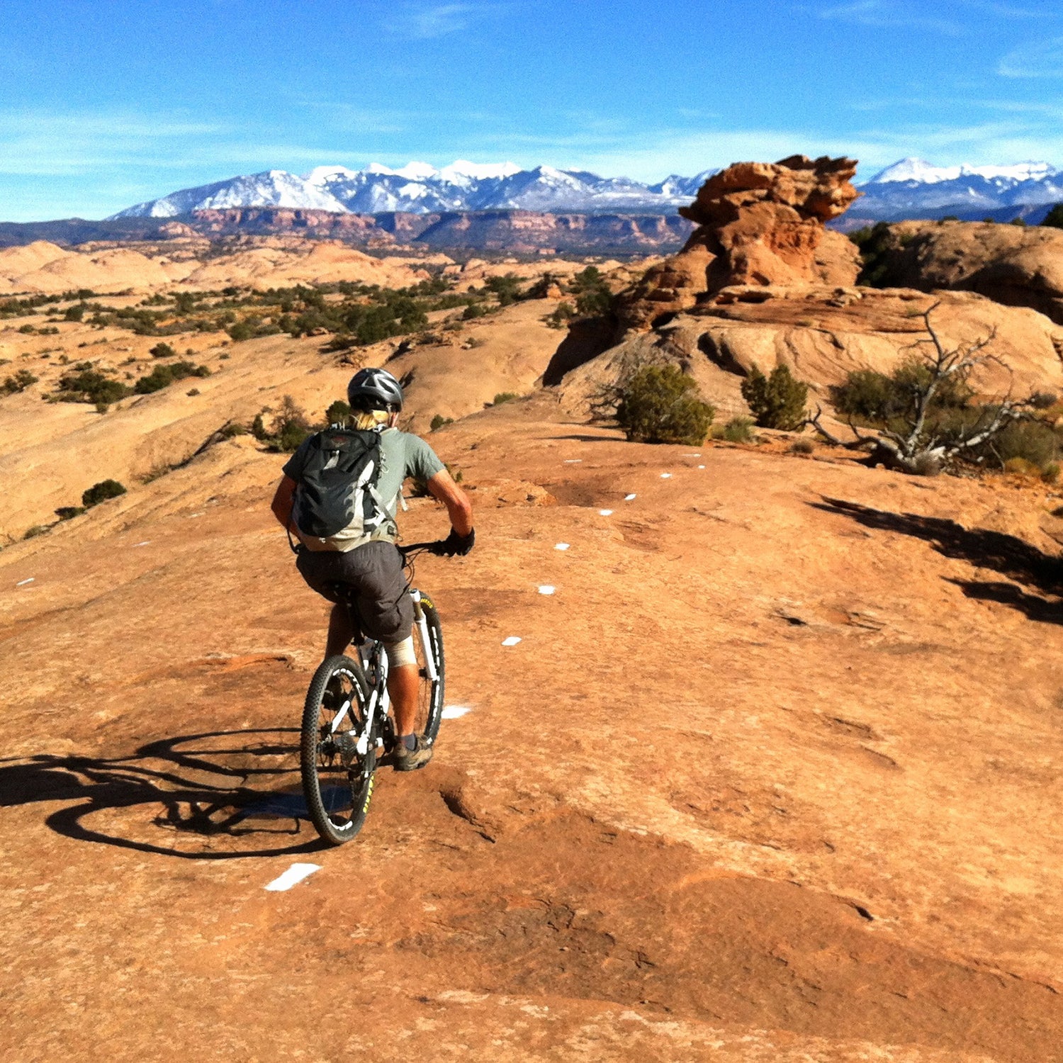 A mountain biker rides the Slickrock Bike Trail.