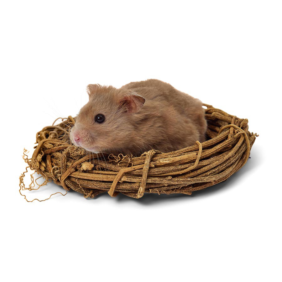 Pets at Home Small Animal Vine Ring