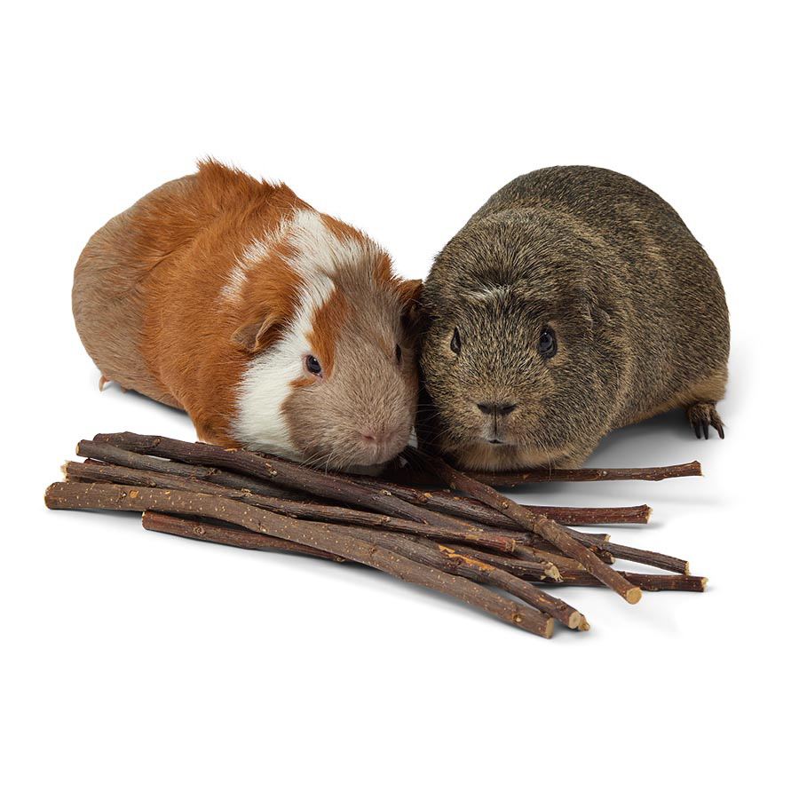 Pets at Home Small Animal Gnaw & Chew Sticks