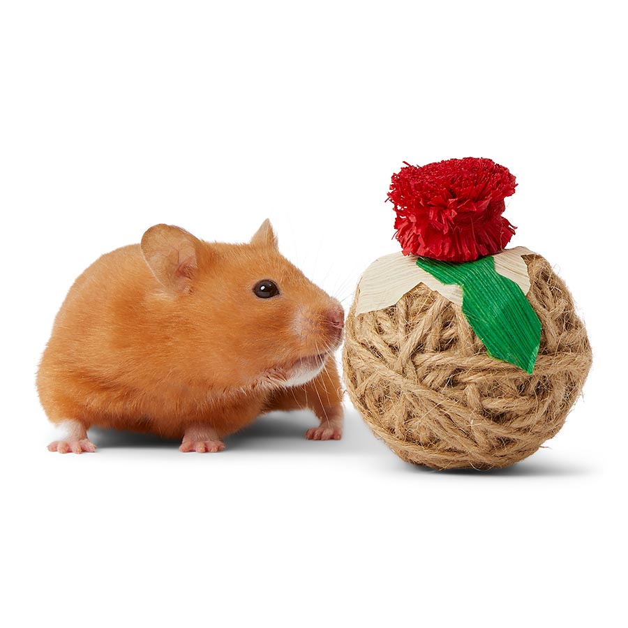 Pets at Home Christmas Sisal Christmas Pudding Small Animal Gnaw Toy