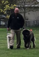 Caucasian Shepherd Puppies Photos