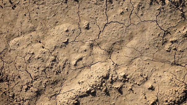 2,000+ Free Soil & Dirt Images - Pixabay