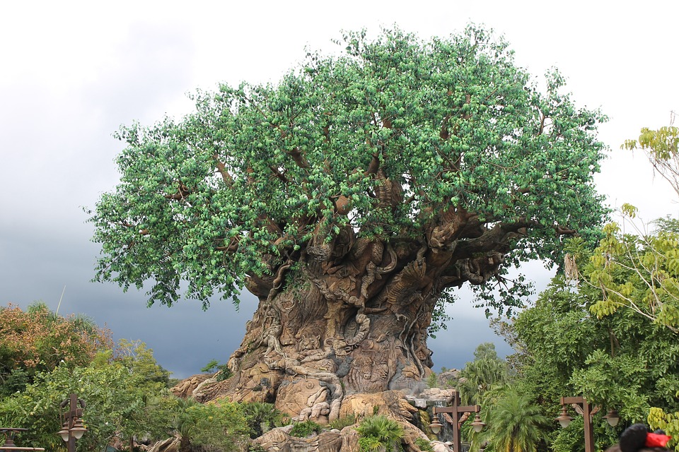 Download Disney Tree Of Life Animal Kingdom - Free photo on Pixabay