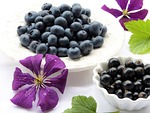 blueberries, black currants, clematis