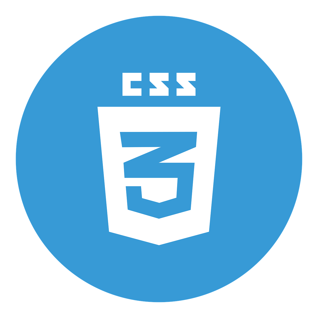 imagem do logo CSS5