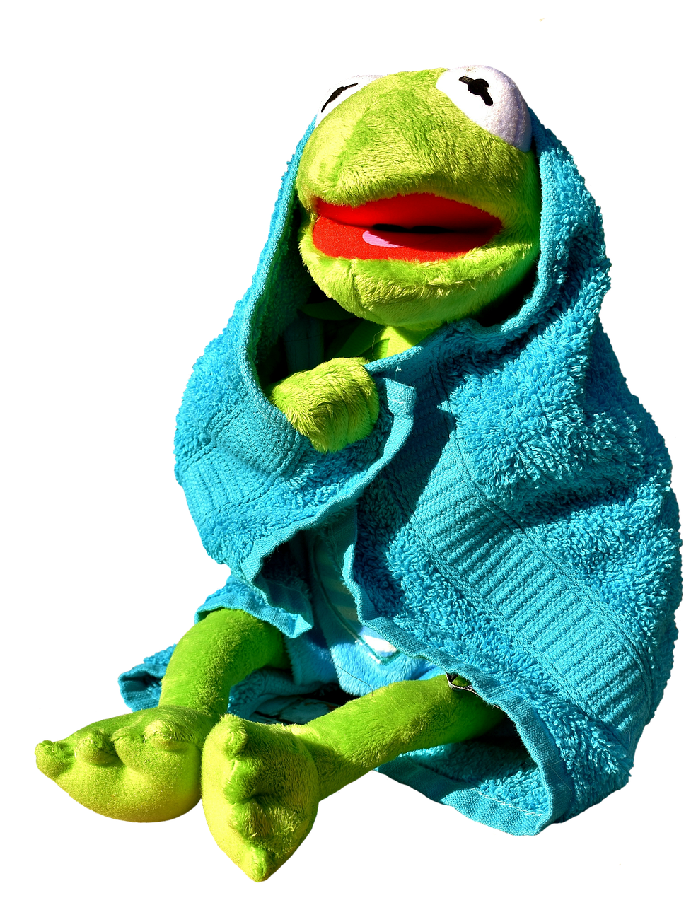 0 Result Images of Kermit The Frog Meme Png - PNG Image Collection