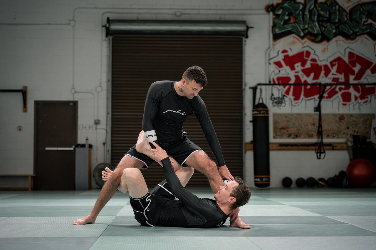 Plus de 20 photos gratuites de Bjj et de Jiu Jitsu - Pixabay