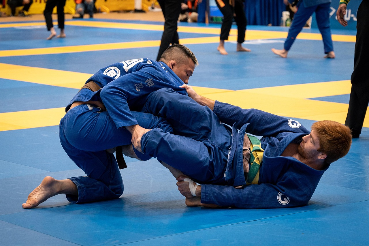 Bjj Jiu Jitsu - Photo gratuite sur Pixabay - Pixabay