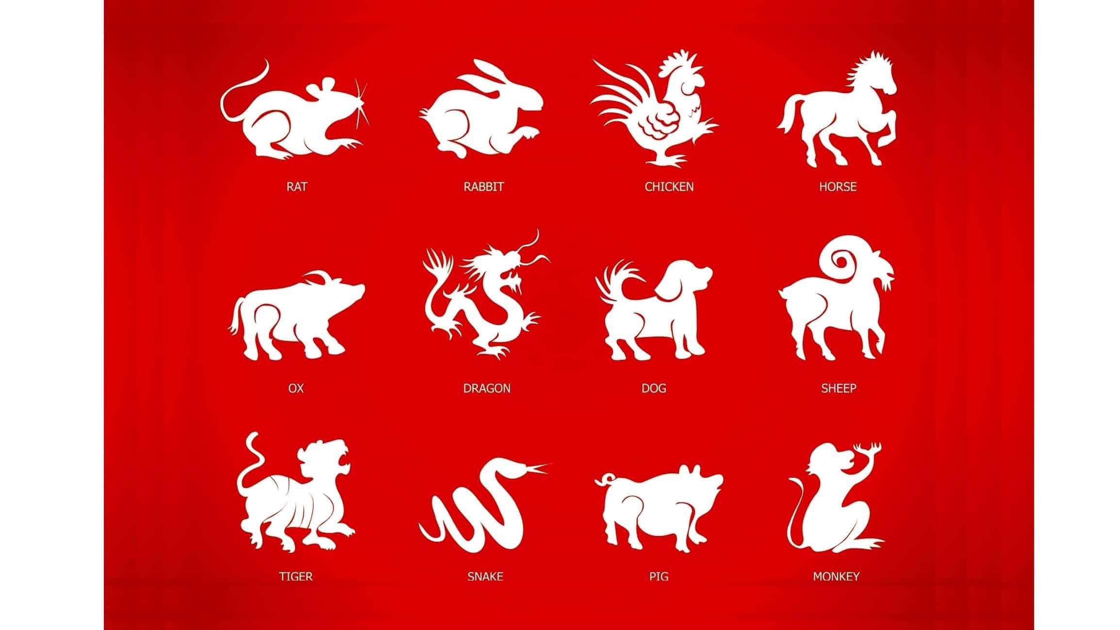 chinese zodiac