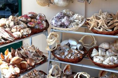 Seashells souvenir store