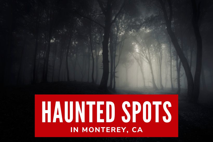 Haunted Spots in Monterey, CA - Creepy trees