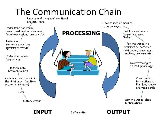 SLCN Model