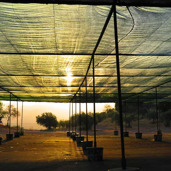 Shade Cloth