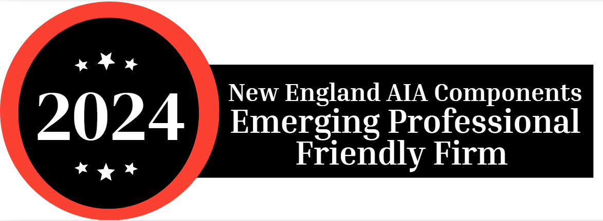 Emerging Professional Friendly Firm