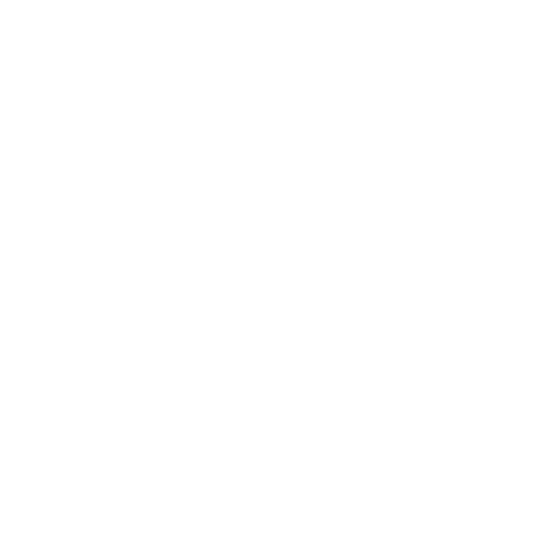 Chevrolet Logo