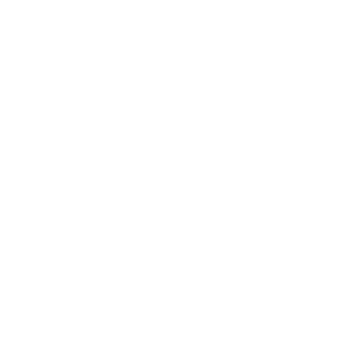 Ford Logo