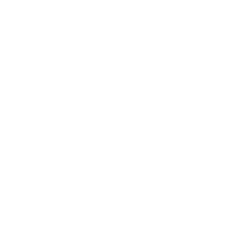 Toyota Logo