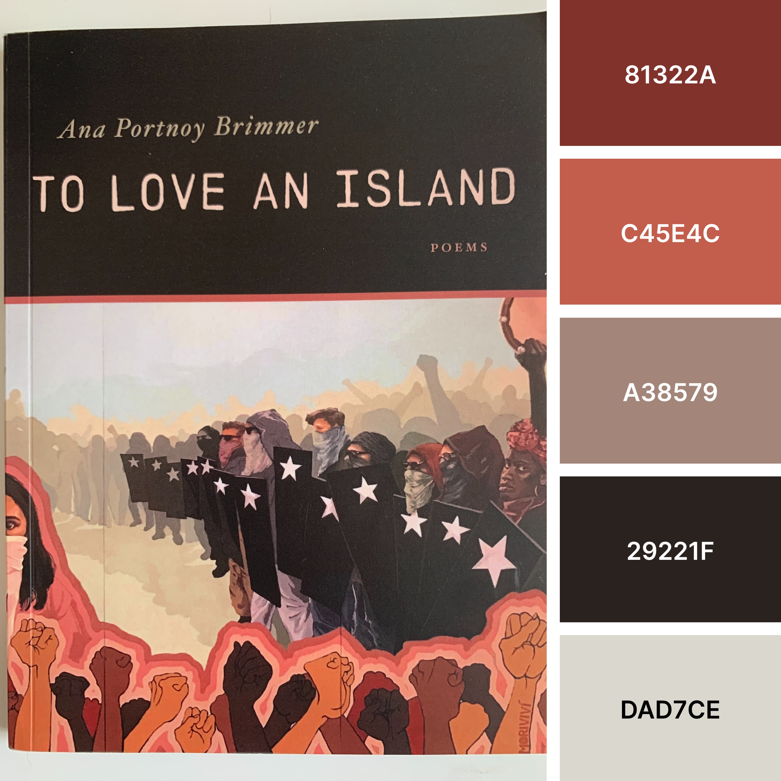 To Love An Island book cover next to color palette with hex codes: 81222A, C45E4C, A38579, 29221F, DAD7CE