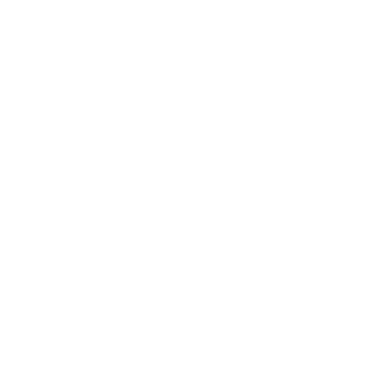 Noodle Box