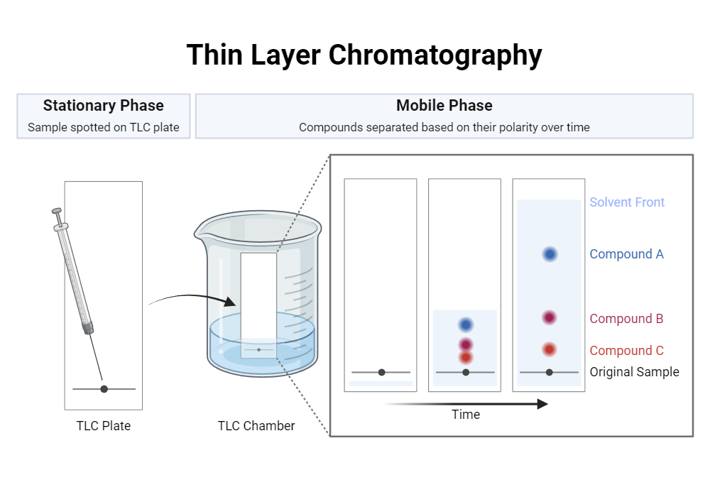 An editable high resolution scientific image depicting Thin Layer Chromatography