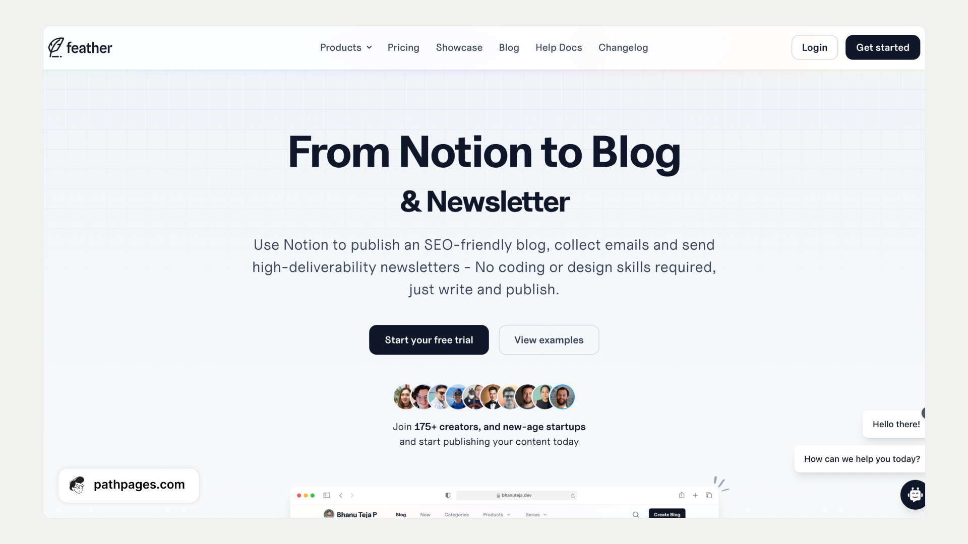 Feather Notion Blog Tool