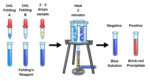 demonstration of fehling's test