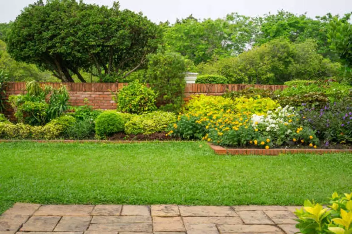 Garden in the backyard 