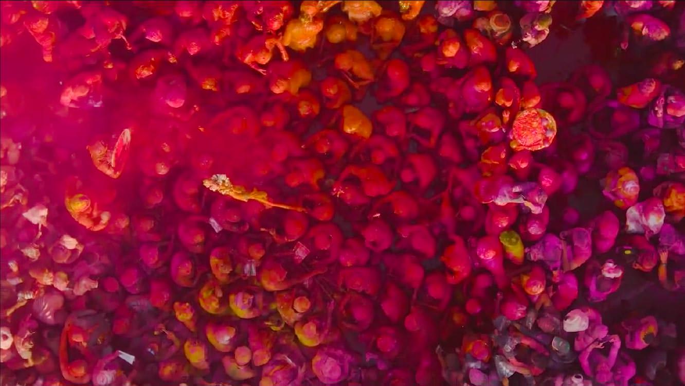 Large group of people in different colors at Holi Festival