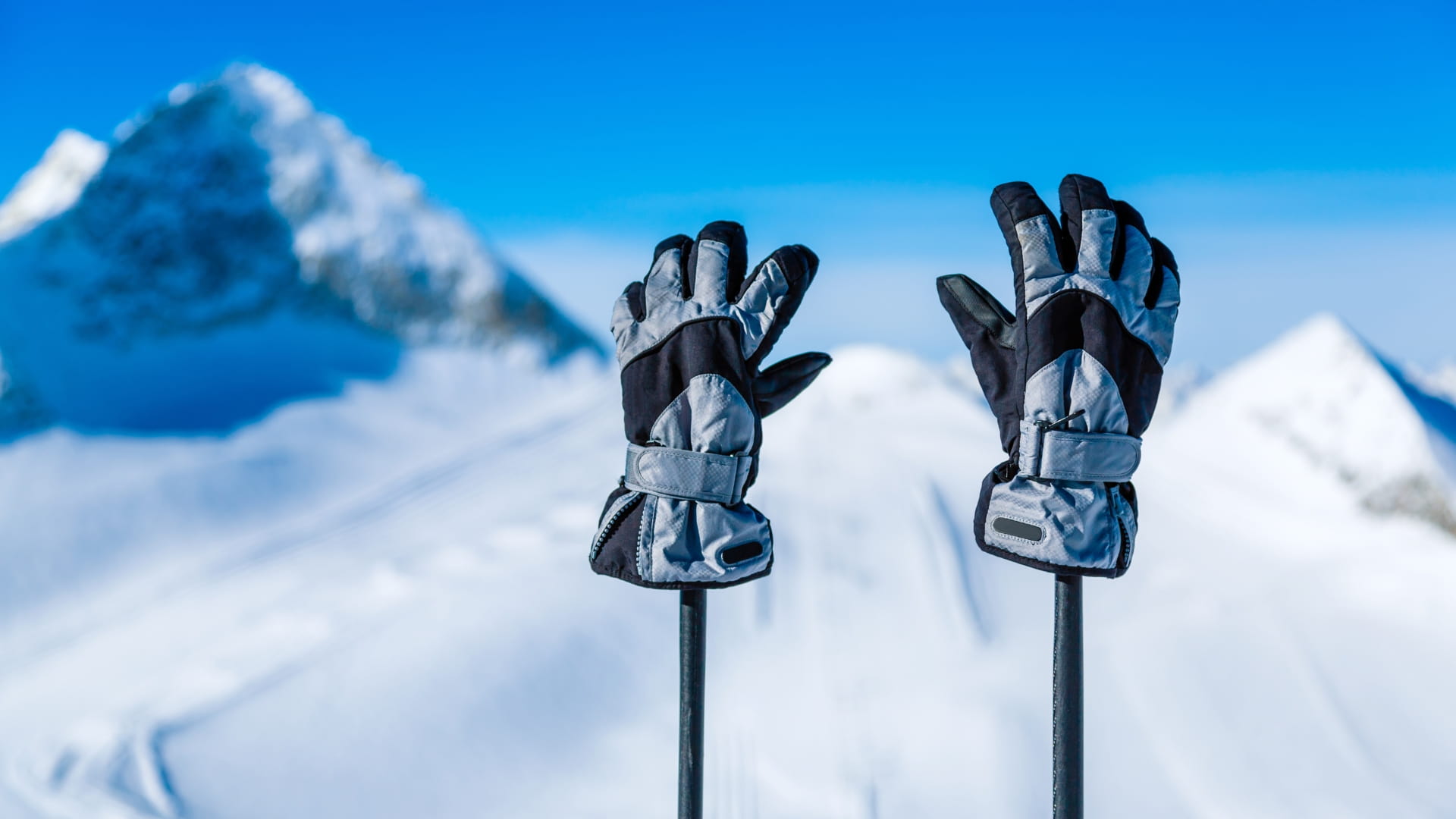 A pair of skiing gloves