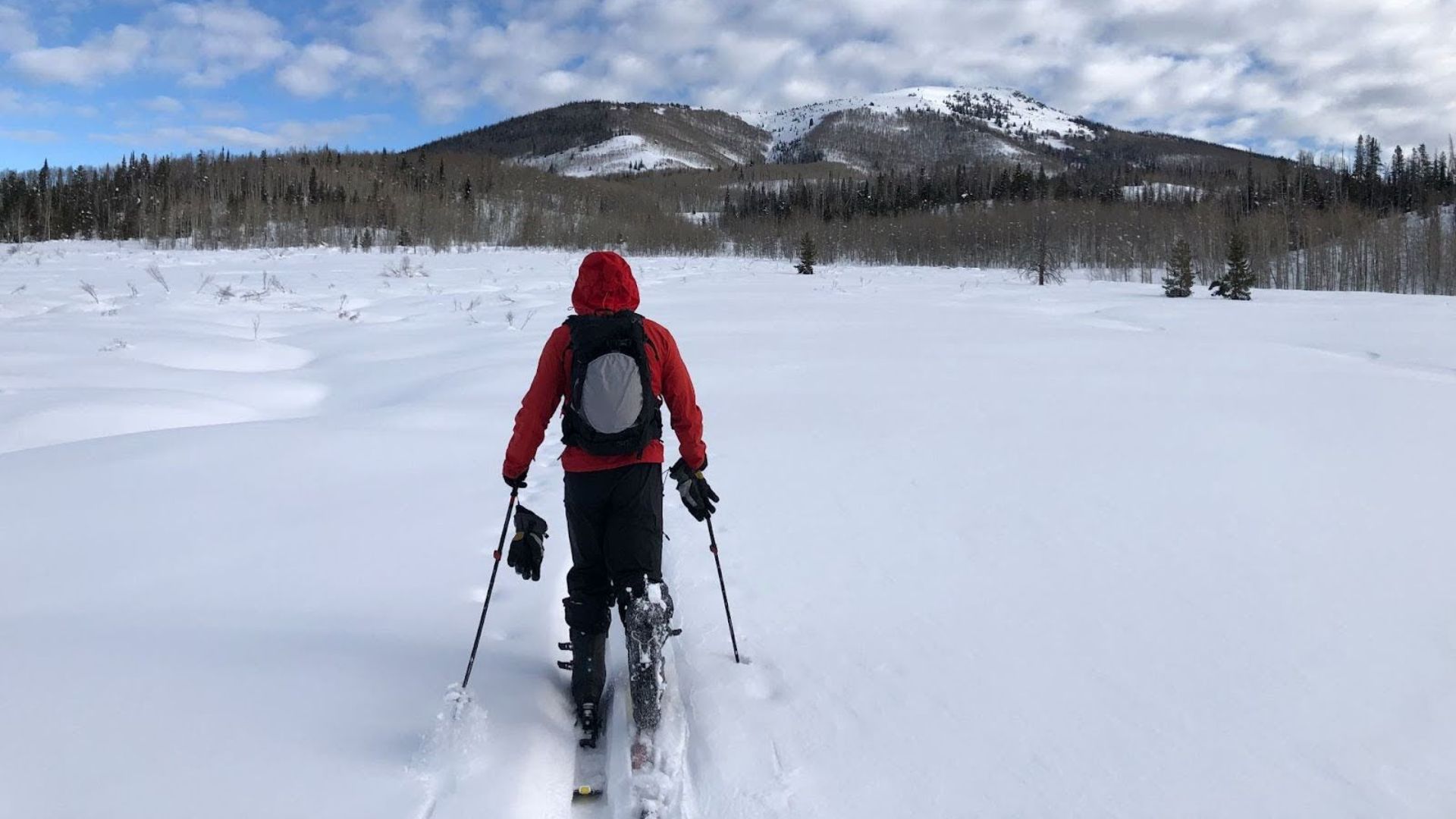 Person skiing