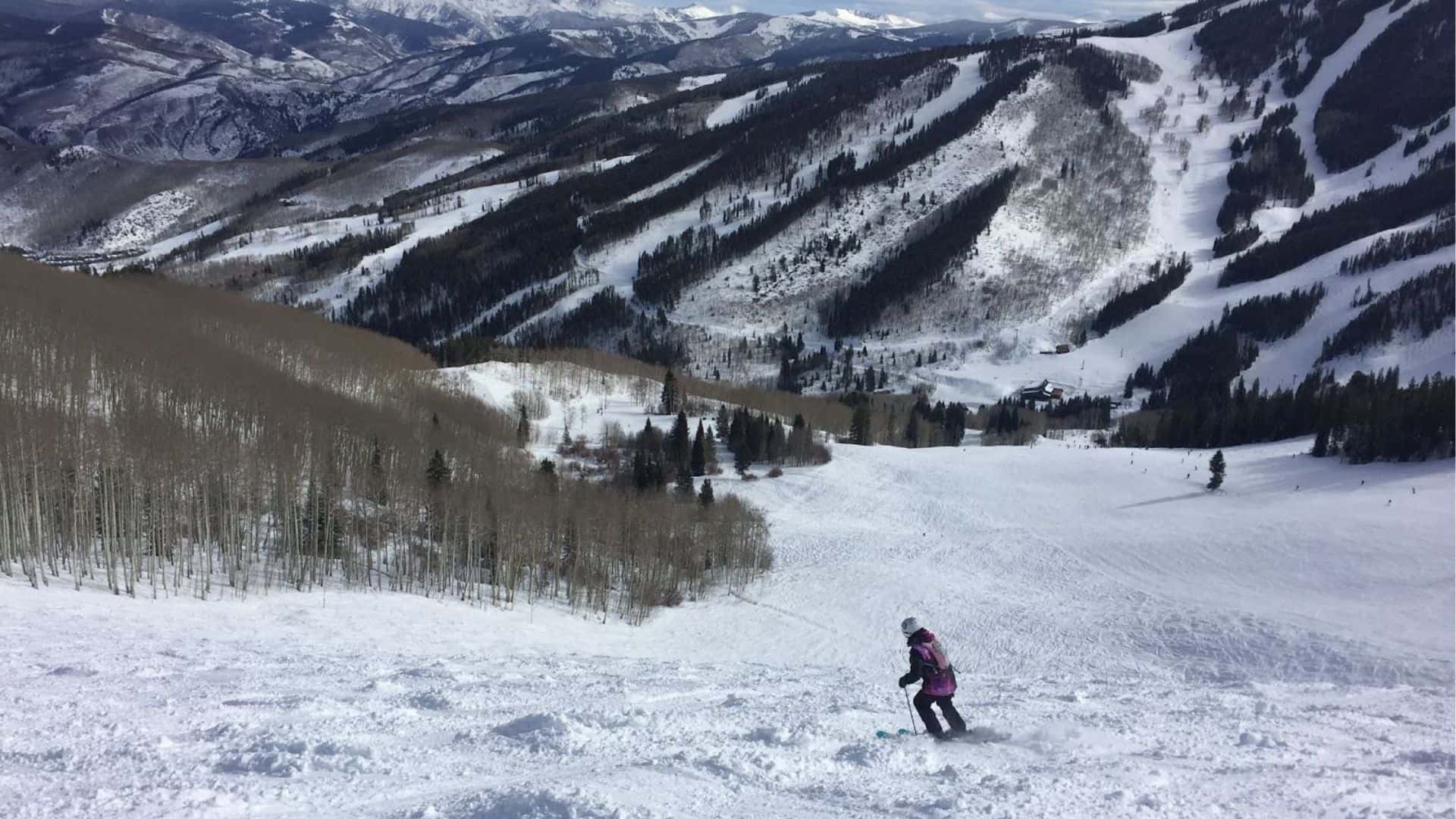 A skier takes measured turns down a steep, bumpy run at Beaver Creek Resort. You can see more ski runs on an adjacent slope and rugged mountains in the background