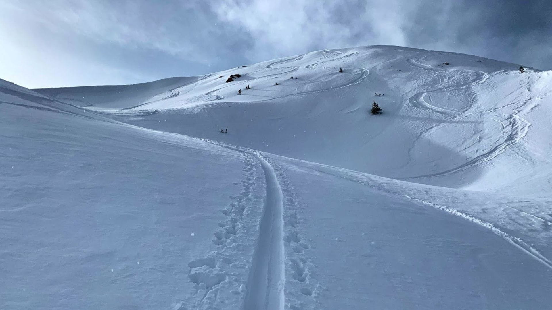 A cold blue day with fresh powder and a few obvious ski lines through it. The hills in the back are all snowy with only one or two trees