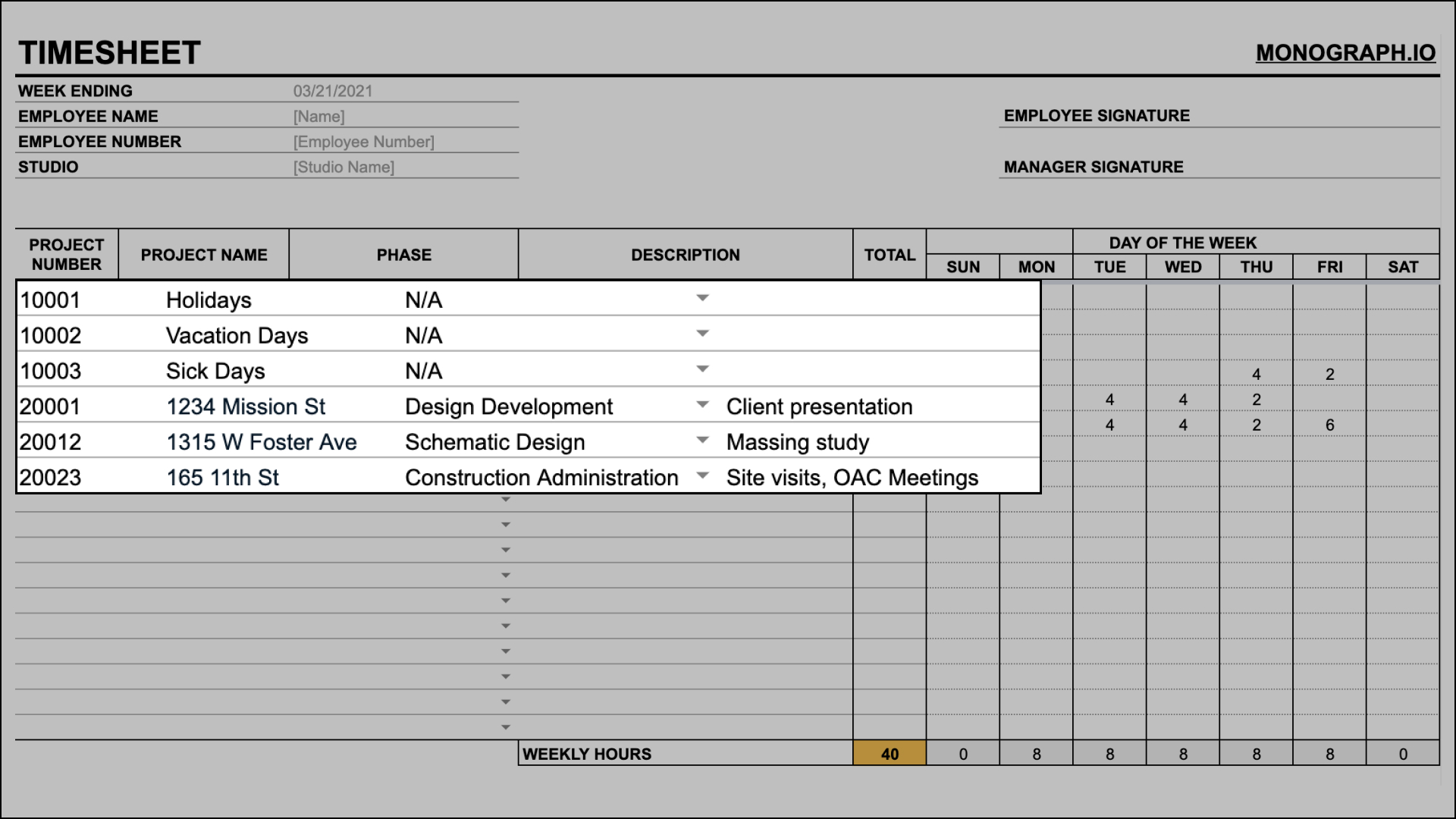 Project Timesheet Description