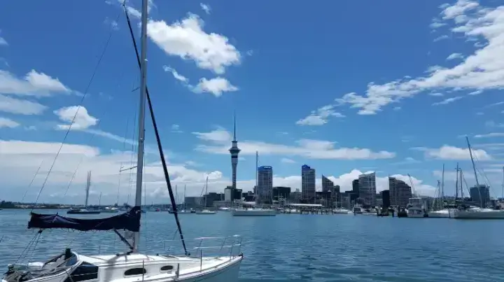 Top 25 Things To Do in Auckland