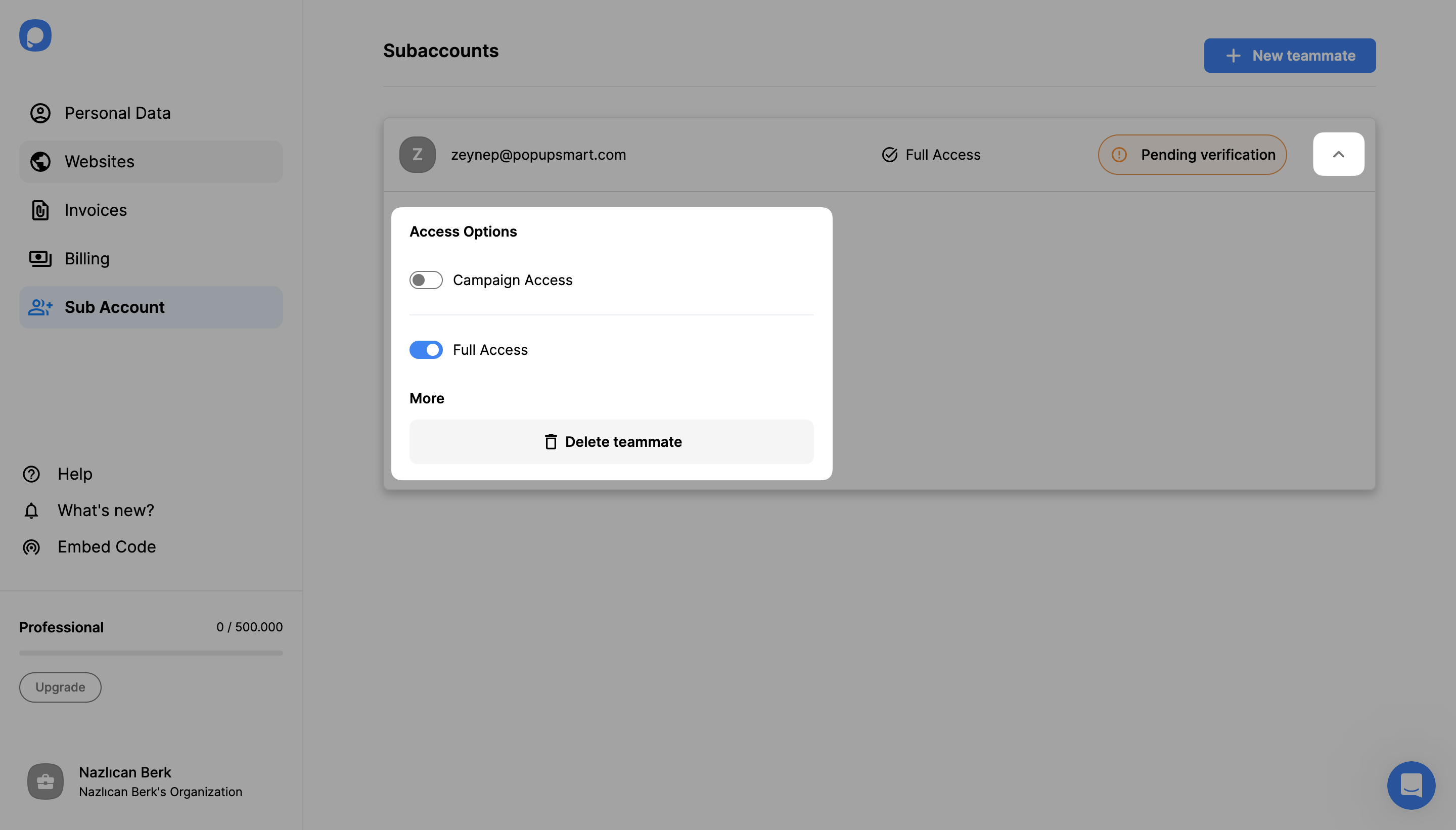 subaccount settings panel