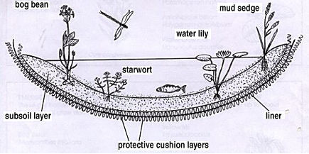 making a pond