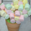 mamashmallow