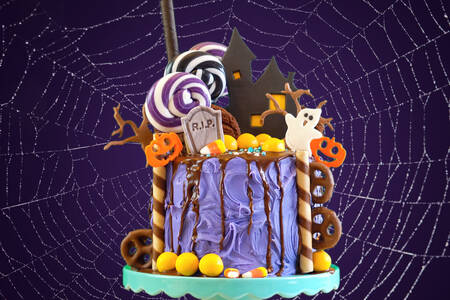 Cake on the background of the cobweb