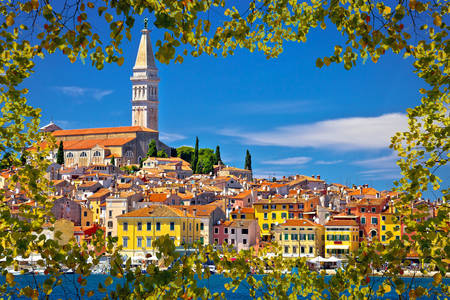 Rovinj city view